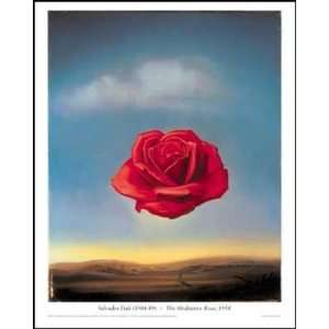 Meditative Rose Poster Print