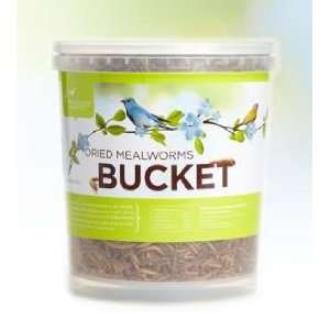  Dried Mealworm Bucket 14 Oz   Suitable for Parrots Pet 