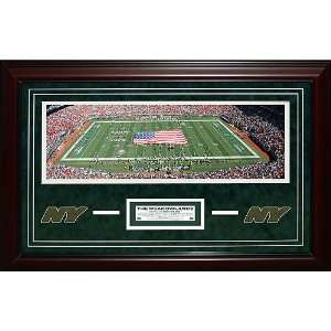  Meadowlands Panoramic 21x32 Turf Collage Sports 
