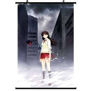 Master of Martial Hearts Anime Wall Scroll Poster Iseshima 