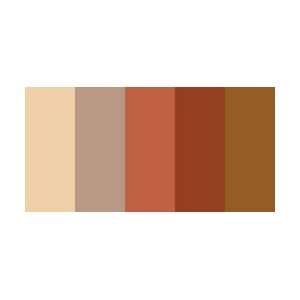  New   VersaColor 5 Color Pad   Mocha Truffle by Tsukineko 