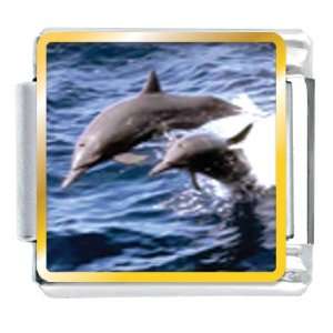  Mothers Day Presents Dolphin Family Animal Photo Italian 