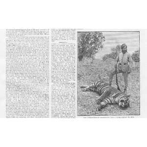  Maharajah Of Tikumgurh And A Tiger Antique Print 1888 