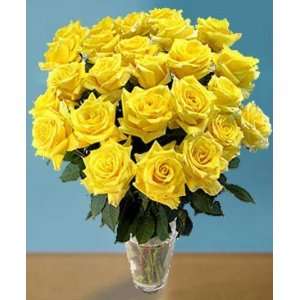 Send Fresh Cut Flowers   25 Long Stem Yellow Roses with Vase Included 