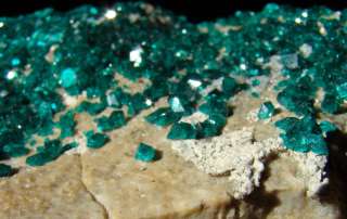 Gem Emerald Green DIOPTASE Kazakhstan   Altyn Tyube   HUGE Cluster 