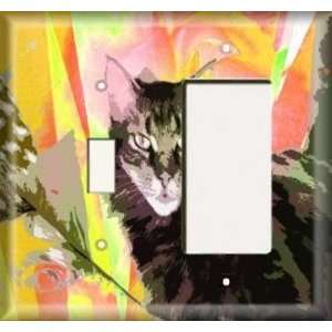  Switch / Rocker Plate   Colorful Cat