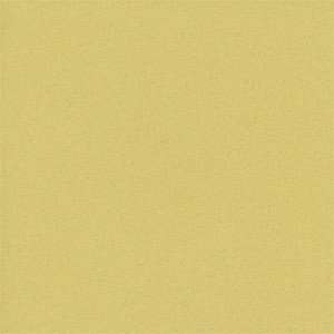  ADP Cardstock 12 x 12   Recycled STRAW Single Sheet