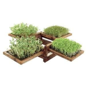   Green Box Miniature Garden La Boite Verte REFILL Patio, Lawn & Garden