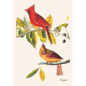  Paper poster printed on 20 x 30 stock. Cardinal