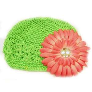   Fits 0   9 Months With a 4 Pink Gerbera Daisy Flower Hair Clip Baby