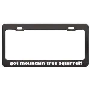 Got Mountain Tree Squirrel? Animals Pets Black Metal License Plate 