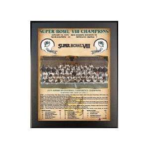  1973 Miami Dolphins Super Bowl VIII Champions 11 x 13 