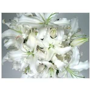 Parade of White Lilies Fresh Flowers Bouquet  Kitchen 