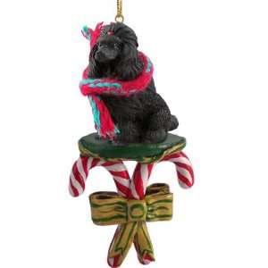 POODLE Dog Black CANDY CANE Christmas Ornament DCC01D