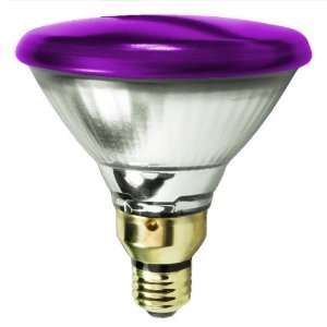   Light Bulb   PAR38   Flood   Purple   2500 Life Hours   1310 Lumens