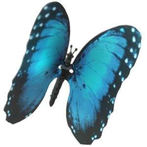    Elegant Aliform Blue Morpho Moving Butterfly