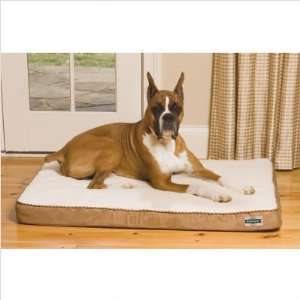 Pet Safe PWB00 1090 Heated Wellness Dog Bed with Orthopedic Foam Core 