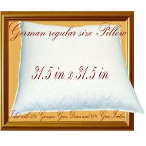 Imported German Goose Down Pillow (German regular size) (8000 M 