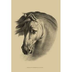  Equestrian Portrait I   Poster by Vision studio (13x19 