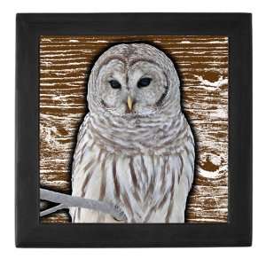  Keepsake Box Black Snow Owl 