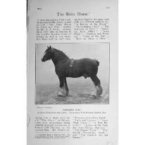  1914 Don John Horse Racing St Leger Little Wonder Derby 