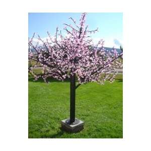  LED Cherry Blossom LED Tree Pink 8 CHERYYR8 61