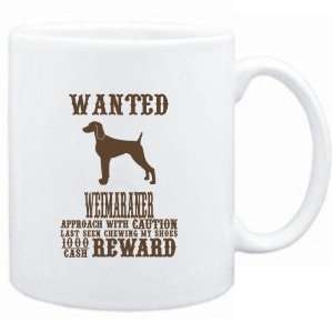    Wanted Weimaraner   $1000 Cash Reward  Dogs