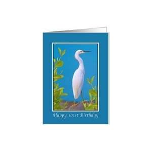  Birthday, 101st, Snowy Egret Bird Card Toys & Games