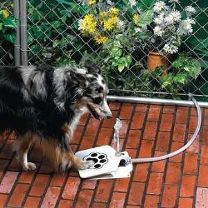  Doggie Water Fountain   Frontgate
