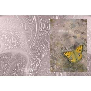  Smithsonian Butterfly Note Cards Deborah Chapin Office 
