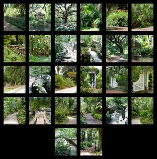 Garden Series Digital Backdrops Vol. 1,2 & 3 with bonus  