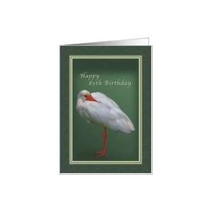  Birthday 85th, White Ibis Bird Card Toys & Games