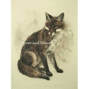  Sitting Fox Art Engraving by Kurt Meyer Eberhardt