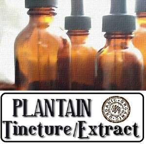 PLANTAIN LEAF Tincture Extract ~ Multiple Size ORGANIC  