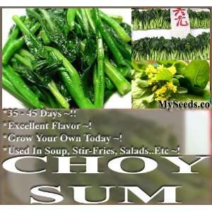  250 Choy Sum Brassica Vegetable Seed Seeds TSOI SIM CHOY 