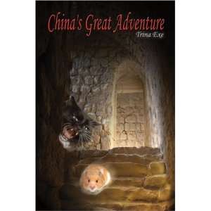   Chinas Great Adventure (9781424172979) Trina Exe, Brenda Exe Books
