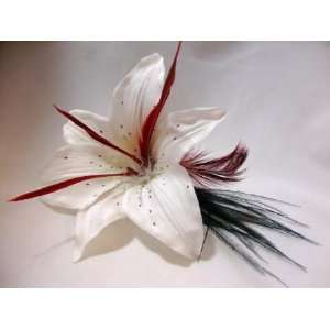  NEW Custom Lily for Lorraine, Limited. Beauty