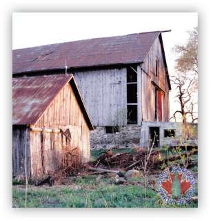 Matthews hutch minus base found beside the shed in the foreground.