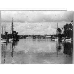 Miami River,harbors,boats,sailing,water,birds,docks,piers,Florida,FL 