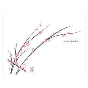  Cherry Blossom Program   Package of 24 