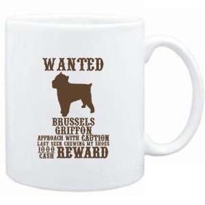   Wanted Brussels Griffon   $1000 Cash Reward  Dogs