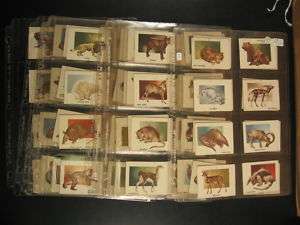 1950 Topps Animals of the World Near Complete Set GD VG  