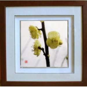  Framed Chinese Silk Embroidery Plum Blossom Flower 13.8 