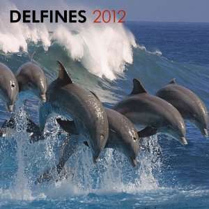  Delfines/Dolphins 2012 Square 12X12 Wall Calendar 