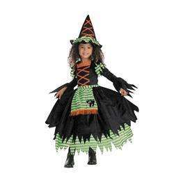 Costumes For All Occasions Witch Storybook Size  