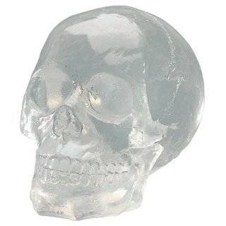Crystal Skulls   Blue Skull   Cold Cast Resin   4.5 Height  