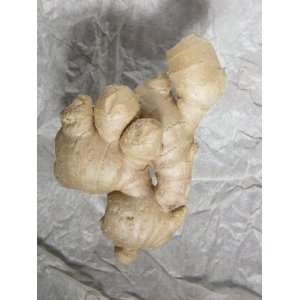  Close Up of a Fresh Ginger Root on Crumpled Paper 