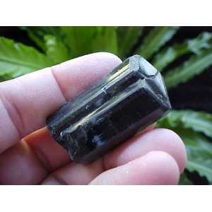  E1912 Gemqz Black Tourmaline Loose Crystal Termination 