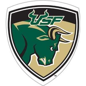  NCAA South Florida Bulls Car Magnet