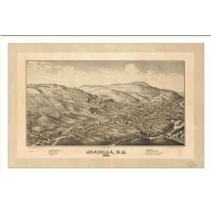  Historic Unadilla, New York, c. 1887 (L) Panoramic Map 